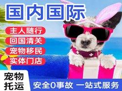 营口兰旗空运公司国际宠物托运 【国